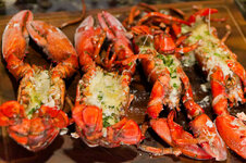 DSC00627 - 25. März 2026.jpg