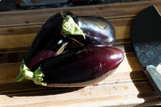 DSC00687 - 11. April 2026.jpg DSC00687 - 11. April 2026.jpg