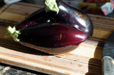 DSC00688 - 11. April 2026.jpg DSC00688 - 11. April 2026.jpg