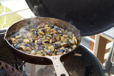 DSC00699 - 11. April 2026.jpg DSC00699 - 11. April 2026.jpg