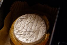 DSC00380 - 01. März 2026.jpg