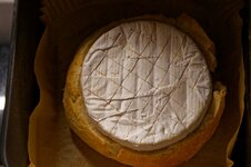 DSC00381 - 01. März 2026.jpg