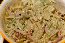 DSC00384 - 01. März 2026.jpg