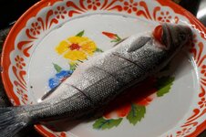 DSC00402 - 05. März 2026.jpg