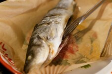 DSC00404 - 05. März 2026.jpg