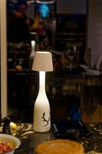 DSC00430 - 08. März 2026.jpg