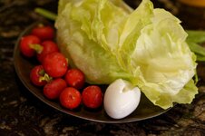 DSC00437 - 08. März 2026.jpg