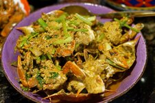 DSC00451 - 09. März 2026.jpg