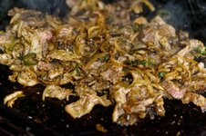 DSC00472 - 12. März 2026.jpg