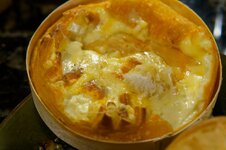 DSC00480 - 12. März 2026.jpg