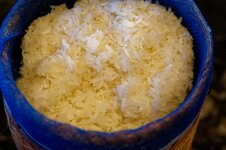 DSC00482 - 17. März 2026.jpg