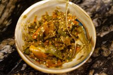 DSC00489 - 17. März 2026.jpg