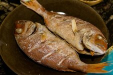 DSC00492 - 17. März 2026.jpg