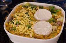 DSC00598 - 23. März 2026.jpg
