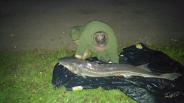 20161001_192350.jpg 20161001_192350.jpg