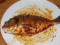 11_Dorade_mit_Gewürzmischung.jpg 11_Dorade_mit_Gewürzmischung.jpg
