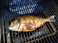 18_Dorade_auf_dem_Grill.jpg 18_Dorade_auf_dem_Grill.jpg