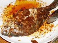 19_Dorade_fertig.jpg 19_Dorade_fertig.jpg