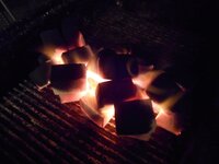 DSCN5896.JPG
