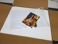 K1600_20170728_135137.JPG