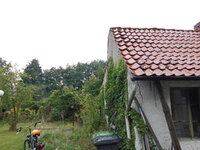 Gemüsedopf mit Schäufele 2017 (25).JPG