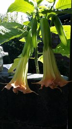 20170814_154055.jpg