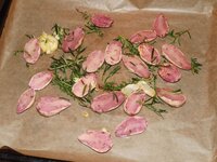 07_Kartoffeln_auf_dem_Blech.jpg 07_Kartoffeln_auf_dem_Blech.jpg