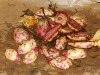 11_Kartoffeln_fertig.jpg 11_Kartoffeln_fertig.jpg