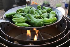 27-pimientos-in-pfanne-jpg.1558282.jpg 27-pimientos-in-pfanne-jpg.1558282.jpg