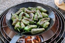30-pimientos-fertig-jpg.1558285.jpg 30-pimientos-fertig-jpg.1558285.jpg