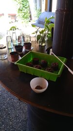 20170829_124047.jpg