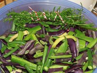 02_Bohnen_mit_Bohnenkraut.jpg 02_Bohnen_mit_Bohnenkraut.jpg