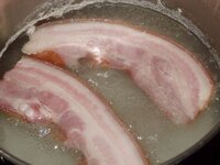 03_Speck.jpg 03_Speck.jpg