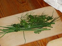 04_Kräuter_aus_dem_Garten.jpg 04_Kräuter_aus_dem_Garten.jpg