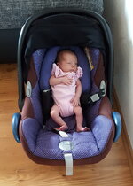 IMG-20170817-WA0002.jpg IMG-20170817-WA0002.jpg