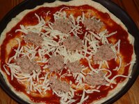 07_geraspelter_Mozzarella_und_Thunfisch.jpg 07_geraspelter_Mozzarella_und_Thunfisch.jpg