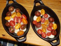 02_Tomaten_darauf_verteilen.jpg 02_Tomaten_darauf_verteilen.jpg