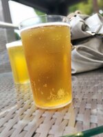 IMG_20171022_094035.jpg