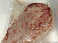 01_Ribeye_im_Wasserbad.jpg 01_Ribeye_im_Wasserbad.jpg