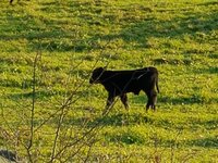20171031_161440.jpg