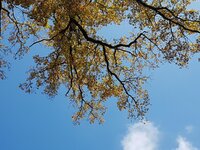 K1600_20171031_142558.JPG K1600_20171031_142558.JPG