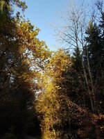 K1600_20171031_160024.JPG K1600_20171031_160024.JPG