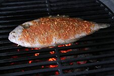 5-auf-grill-jpg.48096.jpg