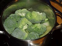 08_Broccoli_zu_den_Kartoffeln.jpg 08_Broccoli_zu_den_Kartoffeln.jpg