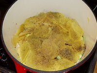 06_darüber_Kartoffelscheiben_Muskat_Salz_und_Pfeffer.jpg 06_darüber_Kartoffelscheiben_Muskat_Salz_und_Pfeffer.jpg