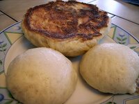 Dampfnugroß---groß.jpg