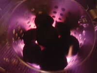 K1600_20180104_180741.JPG K1600_20180104_180741.JPG