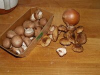 01_Pilze_und_Zwiebel.jpg 01_Pilze_und_Zwiebel.jpg