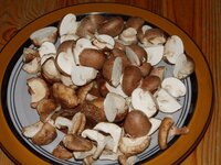 06_Pilze_klein_geschnitten.jpg 06_Pilze_klein_geschnitten.jpg