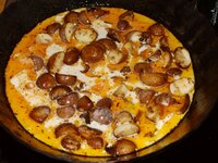 07_Pilze_mit_Sahne_abgelöscht.jpg 07_Pilze_mit_Sahne_abgelöscht.jpg